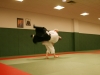 2012-06-23_ados-5